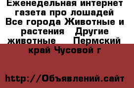 Еженедельная интернет - газета про лошадей - Все города Животные и растения » Другие животные   . Пермский край,Чусовой г.